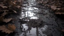 Stay Away from The Appalachian Forest At Night - Spine Chilling Reddit Horror Story!