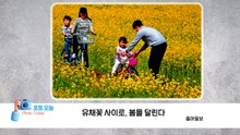 [포토오늘] 유채꽃 사이로, 봄을 달린다 / YTN