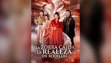 La Zorra CaíDa, La Realeza De Rodillas Drama Chino