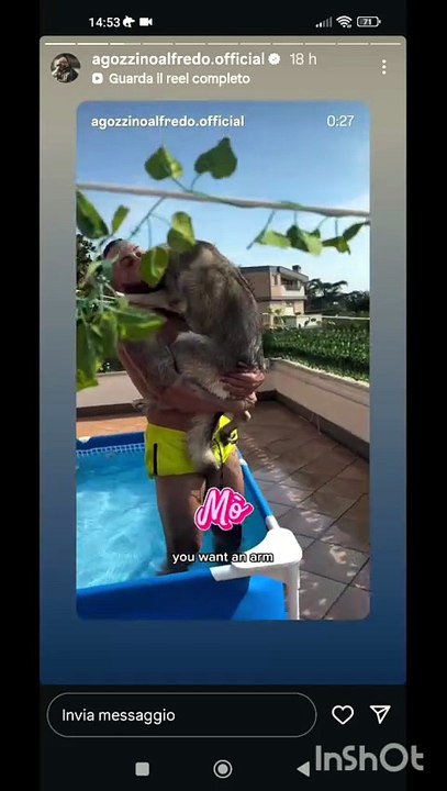 Agozzino Alfredo story con i suoi amici cani