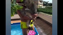 Agozzino Alfredo story con i suoi amici cani
