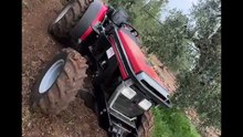 Michele monopoli story dopo la crociera si torna al lavoro negli ulivi