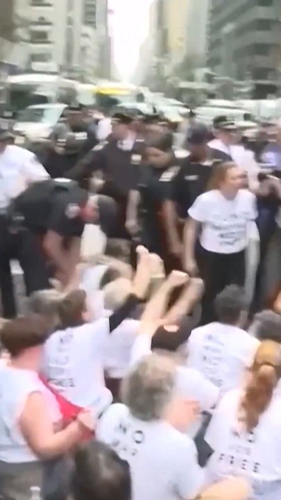 Police detain protester outside NY senator's offices