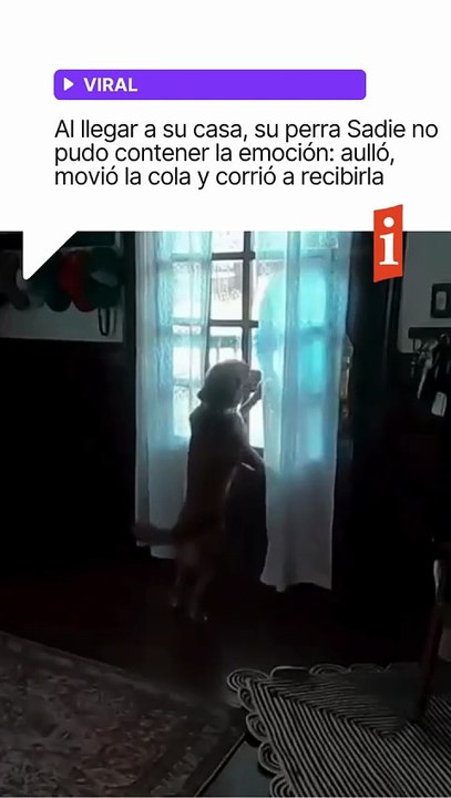 🐶 Volvió de la Luna y su perrita le robó el protagonismo- el video que emocionó a todos