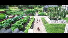 Pierre Lapin 2 : Panique en ville