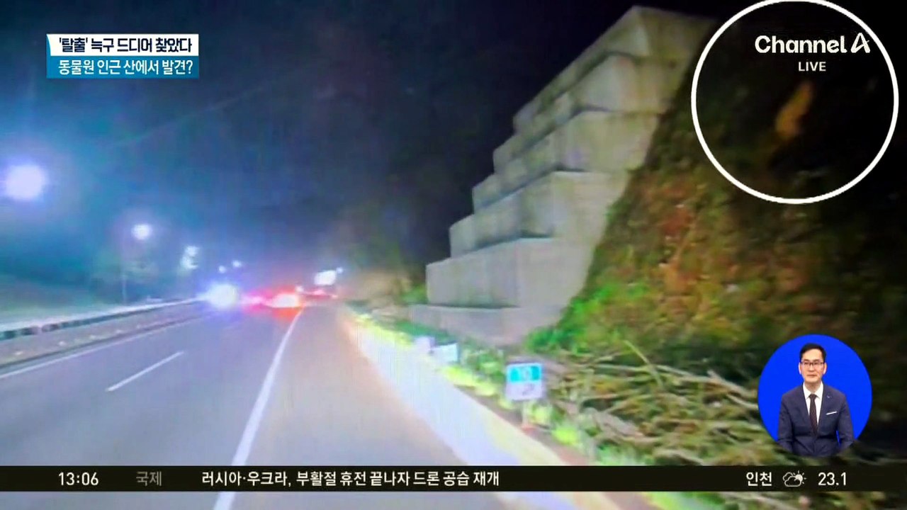 탈출 엿새 만에 포착했지만…늑구 또 놓쳤다