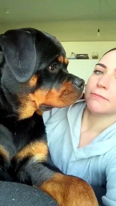 Roteweilers are the cutest puppies😍