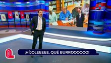 Diputado habla de los caballos | Qué Importa