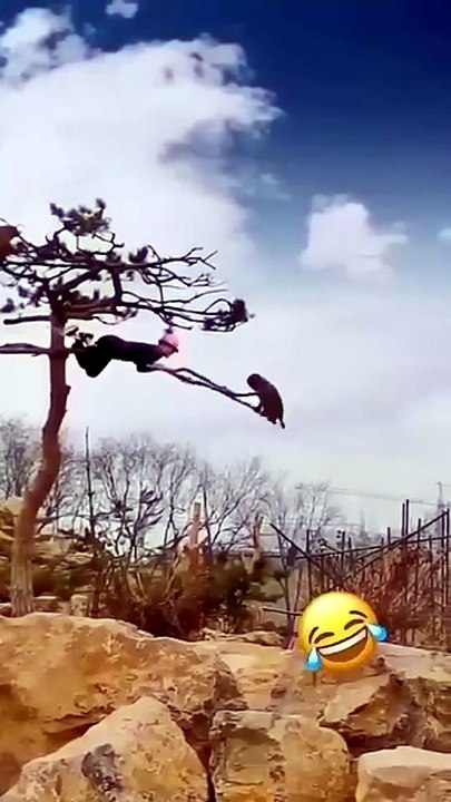 Top 20 Funniest Moments, Pranks, and Crazy Accidents | Comedy Gold