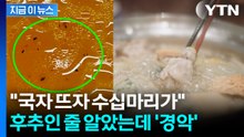 '후추겠지' 했는데 다리에 날개가...악몽이 된 샤브샤브 식사 [지금이뉴스] / YTN