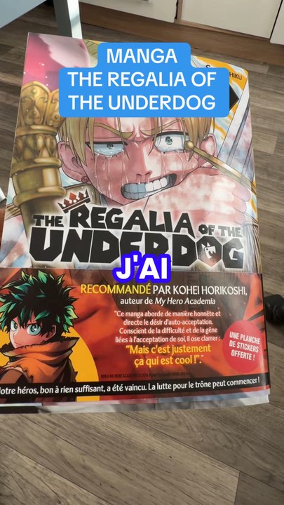 Manga the regalia of the underdog ! Un manga d’aventure shonen beau graphiquement !