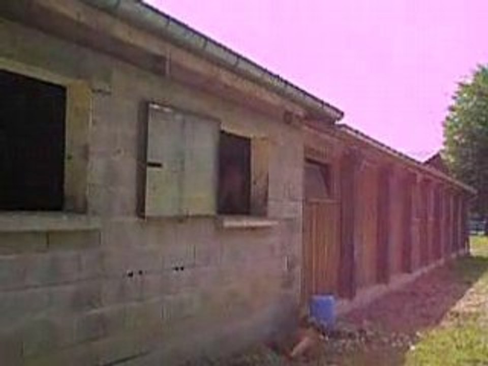 PICT0009