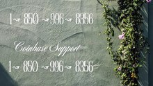 》F》I》N》A》L〖 Immediately〗LIVE ⁂Coinbase® Toll free© helpline® Numbers 抑… 24*7 HELP DEsK