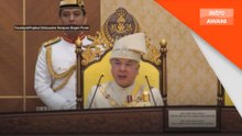 Sultan Nazrin gesa rakyat, kerajaan bersatu hadapi krisis tenaga
