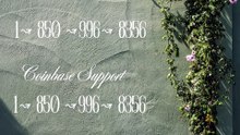 Step↲by↲Step ^^【Coinbase®】Help Desk®️ Phone Number By Support Phone, Chat And Email A Step-by-step Guide