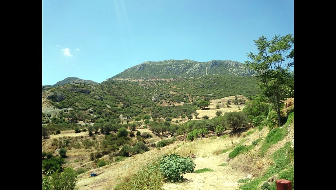 Türkülerle Türkiye - Ağrı - Sine Sine