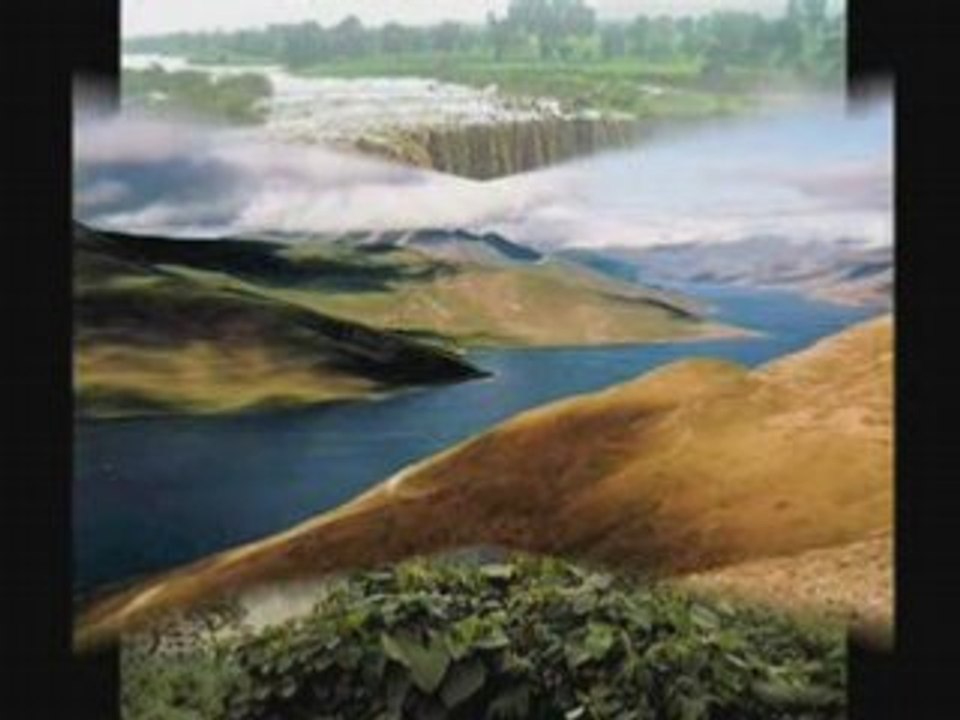 Les hotspots de la biodiversité