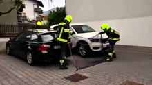 Alto Adige: capriola impaurita tra le case: il recupero dei vigili del fuoco volontari