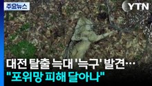 대전 탈출 늑대 '늑구' "포위망 피해 달아나" / YTN
