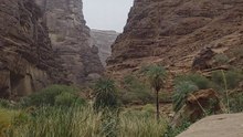Incredible Rock Formations at Wadi Disah Oasis Saudi Arabia
