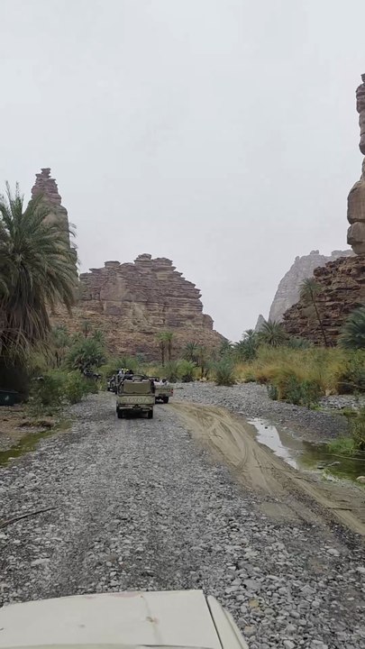 Wadi Disah Landscape | Red Cliffs, Green Valley and Clouds