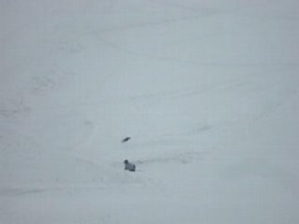road gap 2008