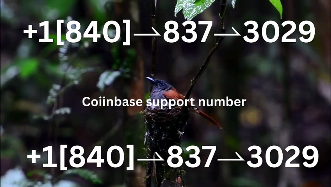 90~【Full】℠ [*List] of Coinbase Toll Free nUmbers in the USA: The Ultimate Explained Guide