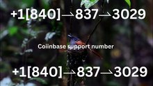 {{@OFFicial Live Person Support}]coinbase ®Number - Complete^>Customer Toll-Free Numbers – Complete Guide