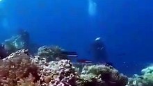 What a 7.2 magnitude earthquake looks like underwater.