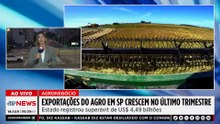 Agro paulista registra superávit de US$ 4,49 bilhões no 1º trimestre de 2026