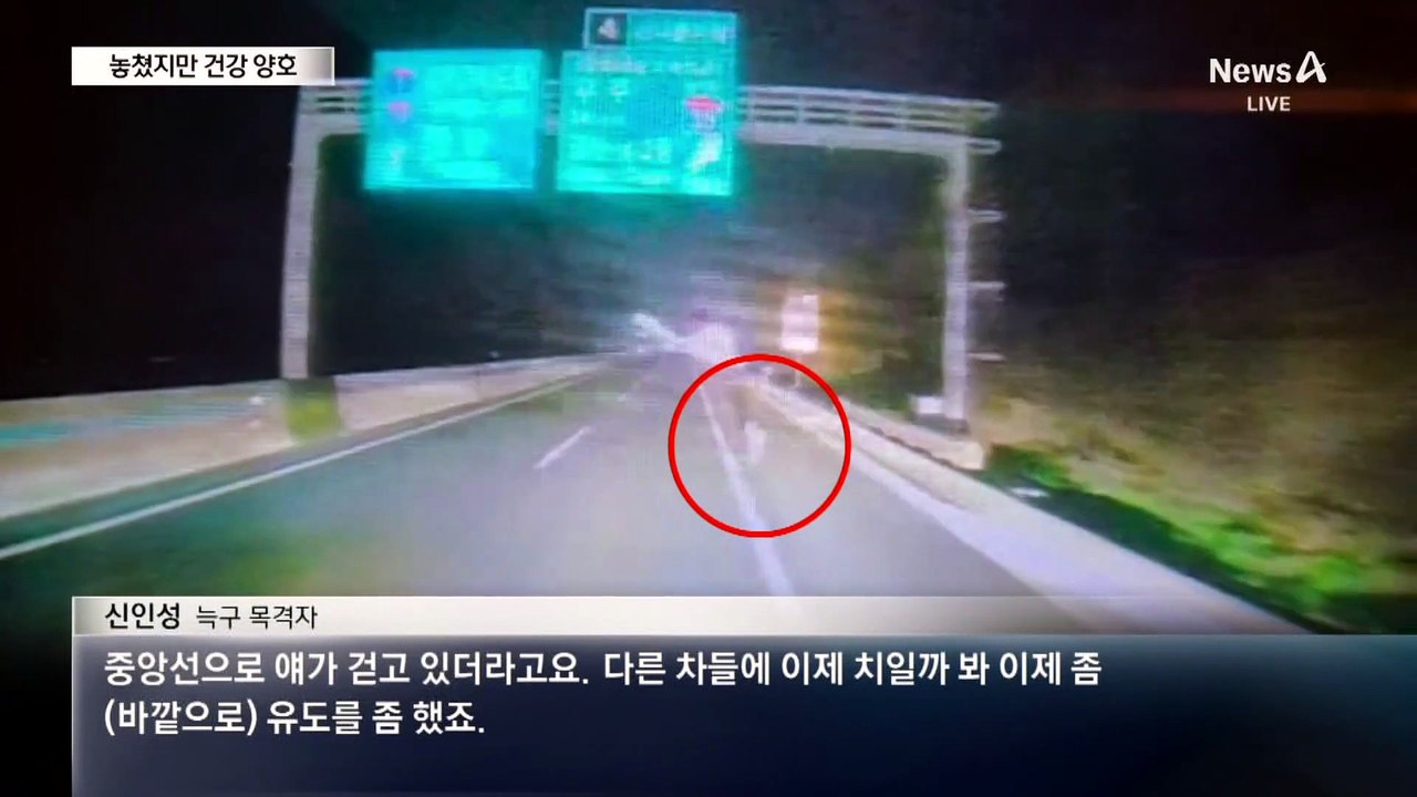 늑구 눈앞에서 놓쳤다…건강 상태 양호