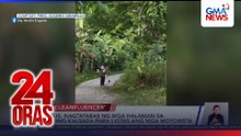 Pulis, nagtatabas ng mga halaman sa tabing-kalsada para ligtas ang mga motorista | 24 Oras