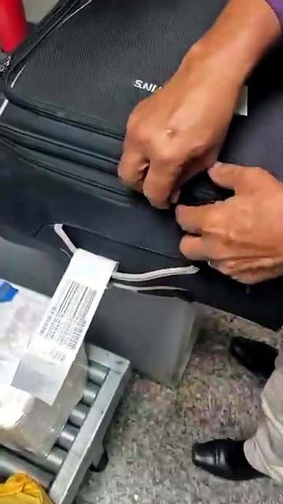 Passageiro é flagrado com pássaros na bagagem ao tentar embarcar no Aeroporto de Maceió