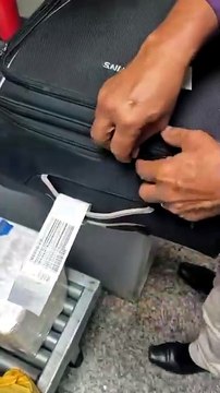 Passageiro é flagrado com pássaros na bagagem ao tentar embarcar no Aeroporto de Maceió