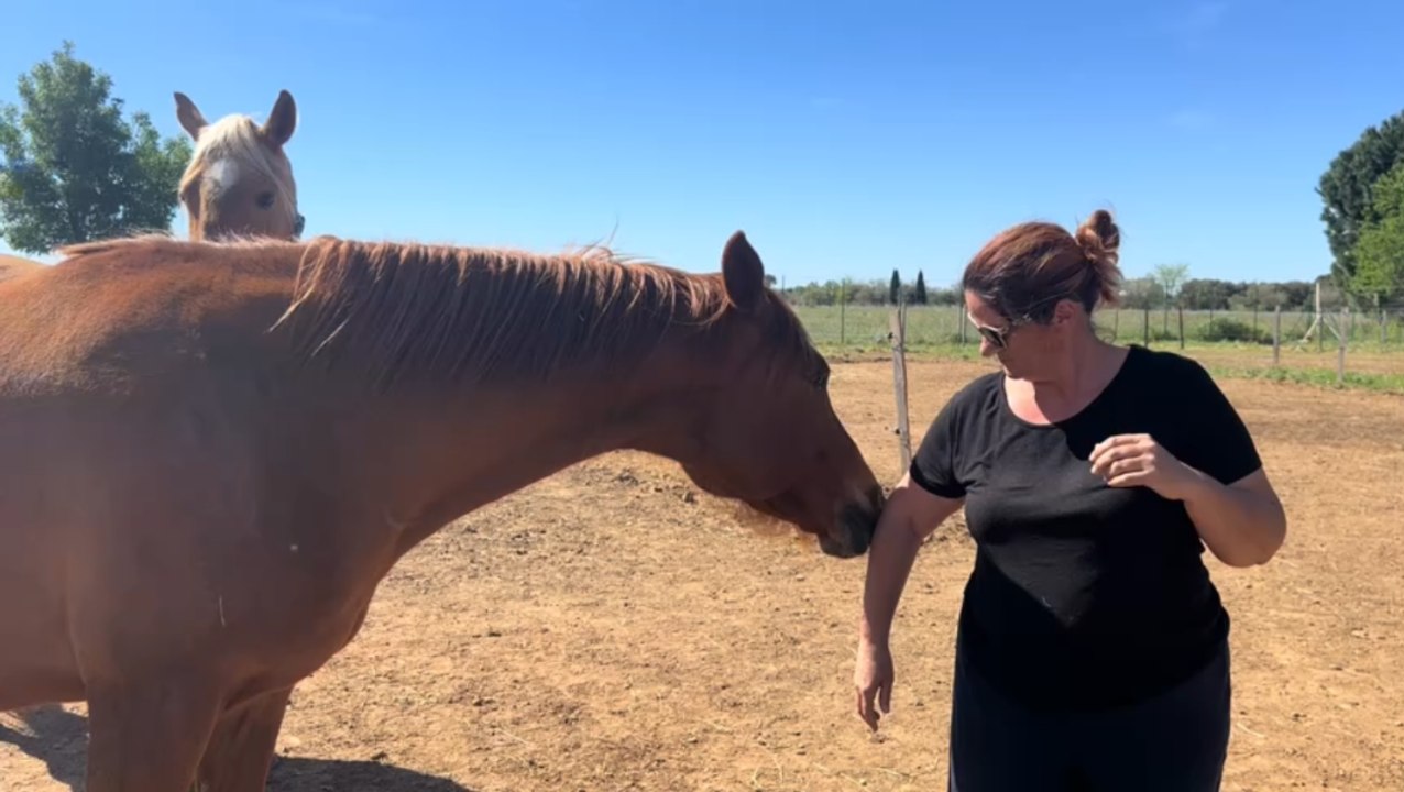 Les chevaux de l'Eden, le lieu de la seconde chance pour les équidés, près de Nîmes