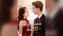 A Secretária Substituta Do Ceo (Legenda) Episódio Completo