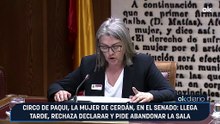 Circo de Paqui, la mujer de Cerdán, en el Senado: llega tarde, rechaza declarar y pide abandonar la sala