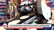 Gobierno busca frenar el alza de la tortilla | DPC con Paola Rojas