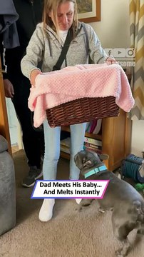 Dog Meets His Puppy Daughter—His Reaction Is Pure Love|| Heartsome 💖
