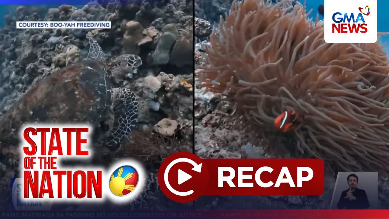 State of the Nation: (Part 2) VPSD impeachment; Thriving sa freediving