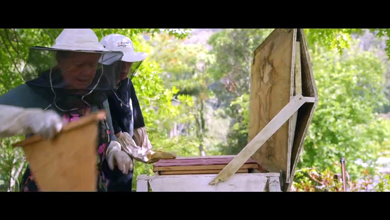 THE VALLEY (2026)