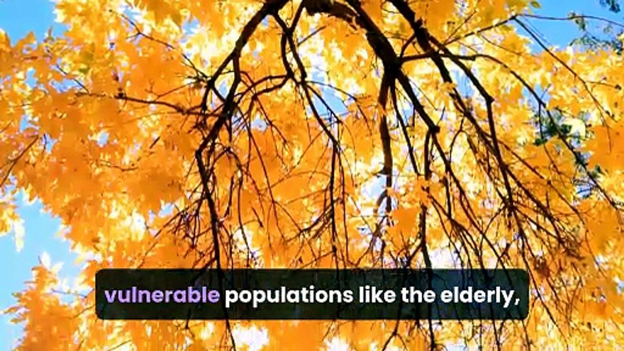 The Hidden Power of Trees (And Why We Need Them Now)