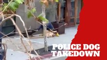 Police dog subdues suspect after stabbing incident in San Diego