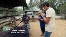 Pékin Express : duos de choc