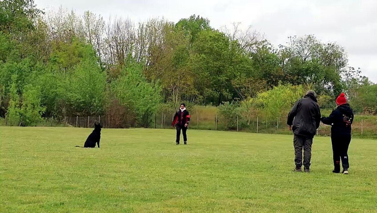 MVI_3123
