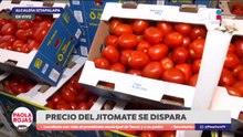 Jitomate dispara su precio y enciende alertas | DPC con Paola Rojas