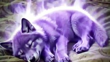My Beggar Husband Is A Wolf God Full