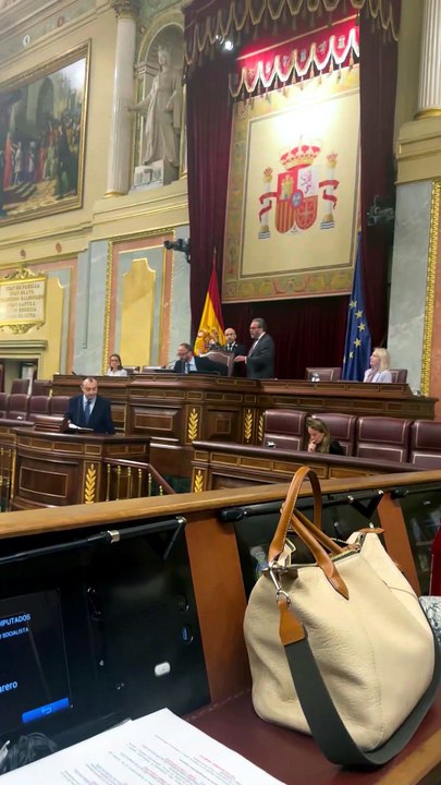 Expulsado del pleno un diputado de Vox tras encararse en la tribuna con ...