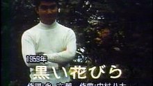 黒い花びら