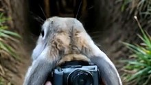 What’s Inside the Rabbit Hole? | Extreme Cinematic POV by APEX TRAILS 🎬🕳️